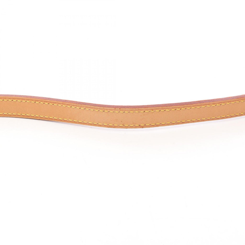 Louis Vuitton Trotter · Monogram