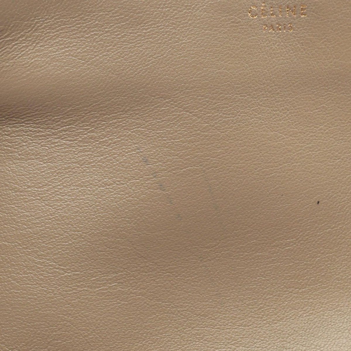 Celine Trio Large · Leather