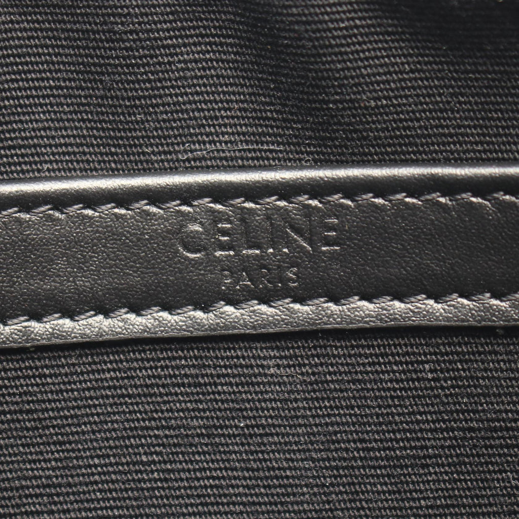CELINE Triomphe Medium Messenger · Canvas