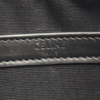 CELINE Triomphe Medium Messenger · Canvas