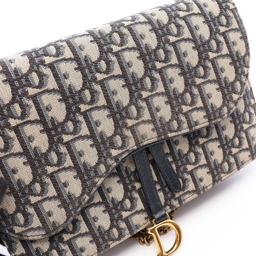 DIOR Saddle · Oblique Canvas · Shoulder Bag