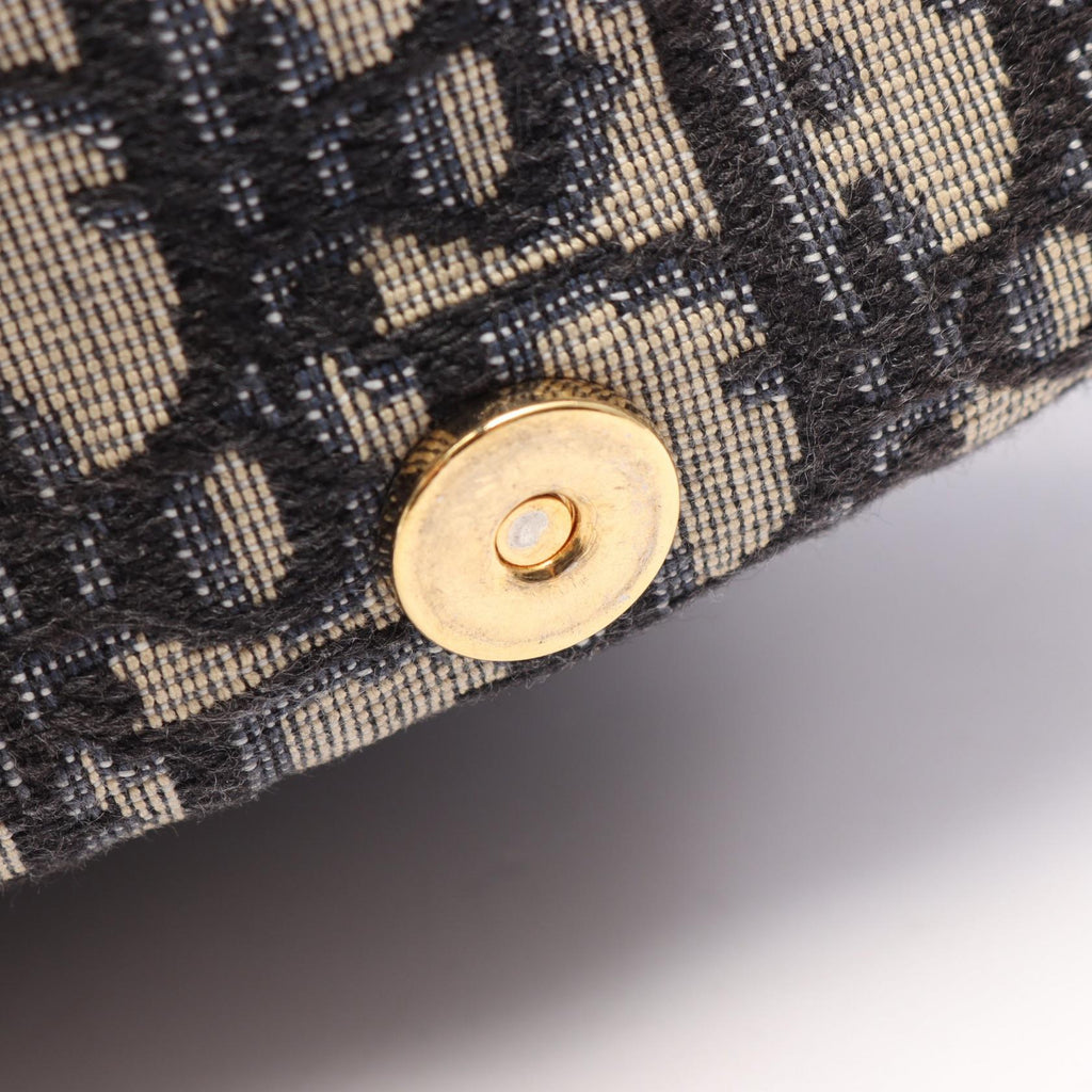Dior Bobby Medium · Oblique Canvas