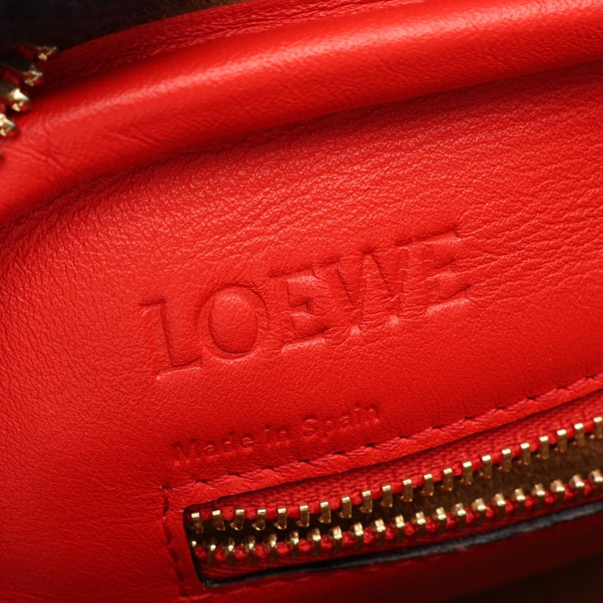 LOEWE Amazona 75
