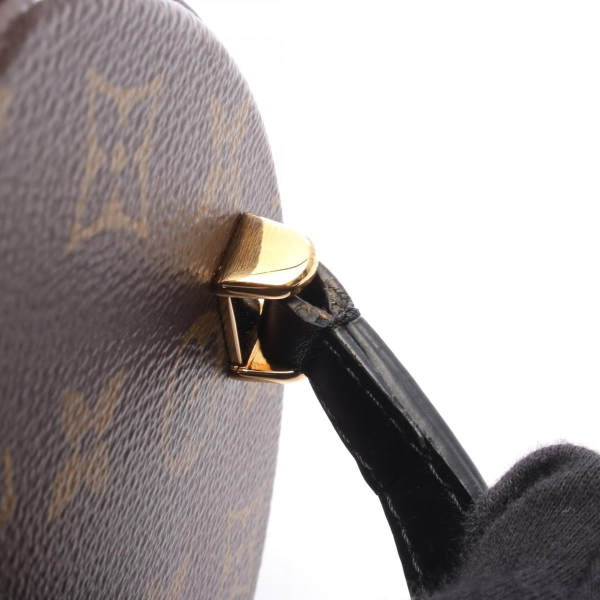 Louis Vuitton Cannes · Monogram Reverse