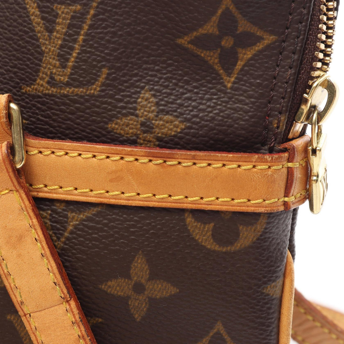 Louis Vuitton Cousin GM · Monogram