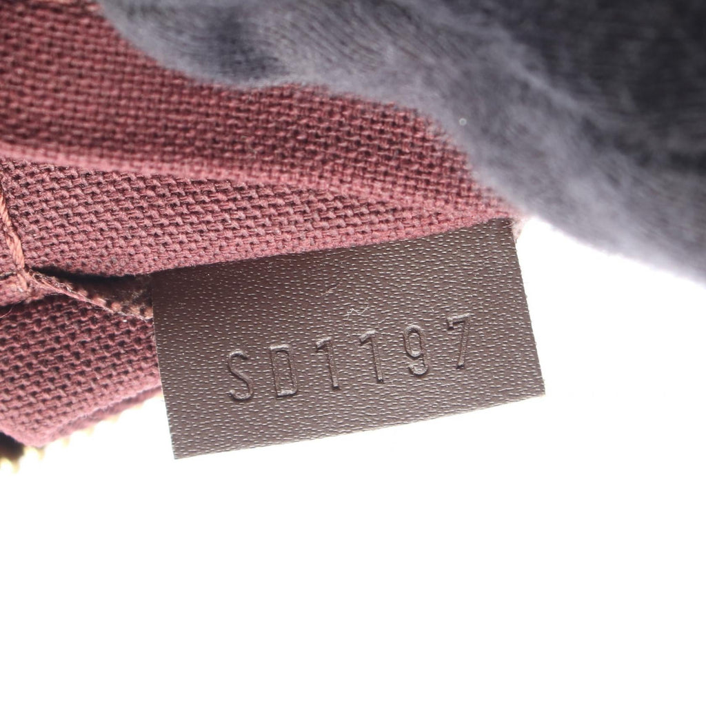 Louis Vuitton Iena PM · Damier Ebene