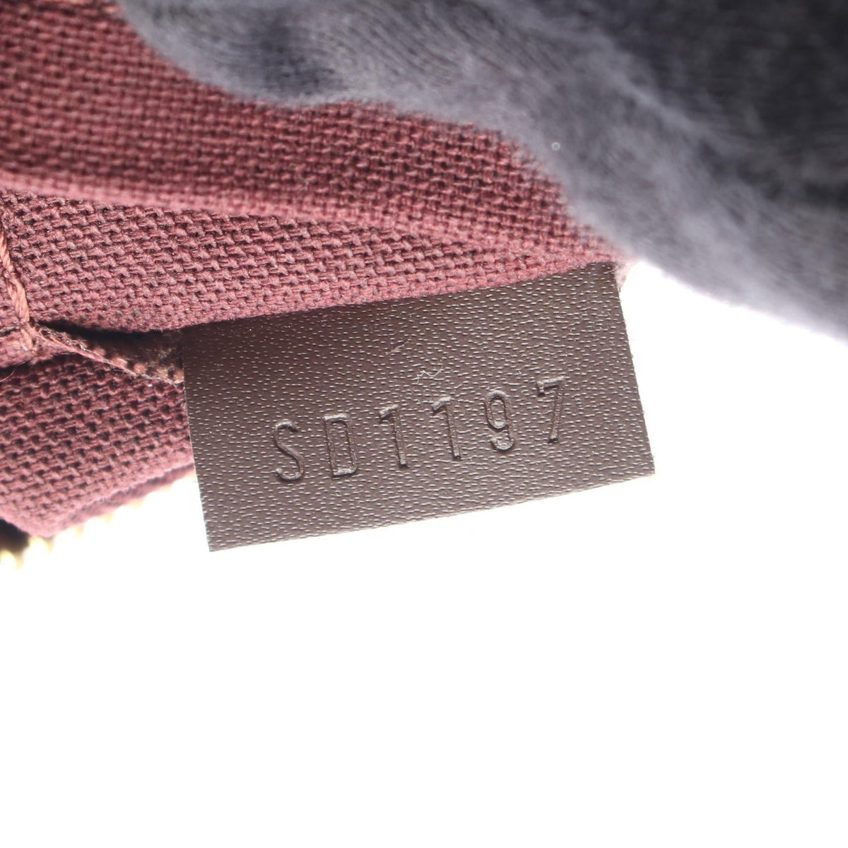 Louis Vuitton Iena PM · Damier Ebene
