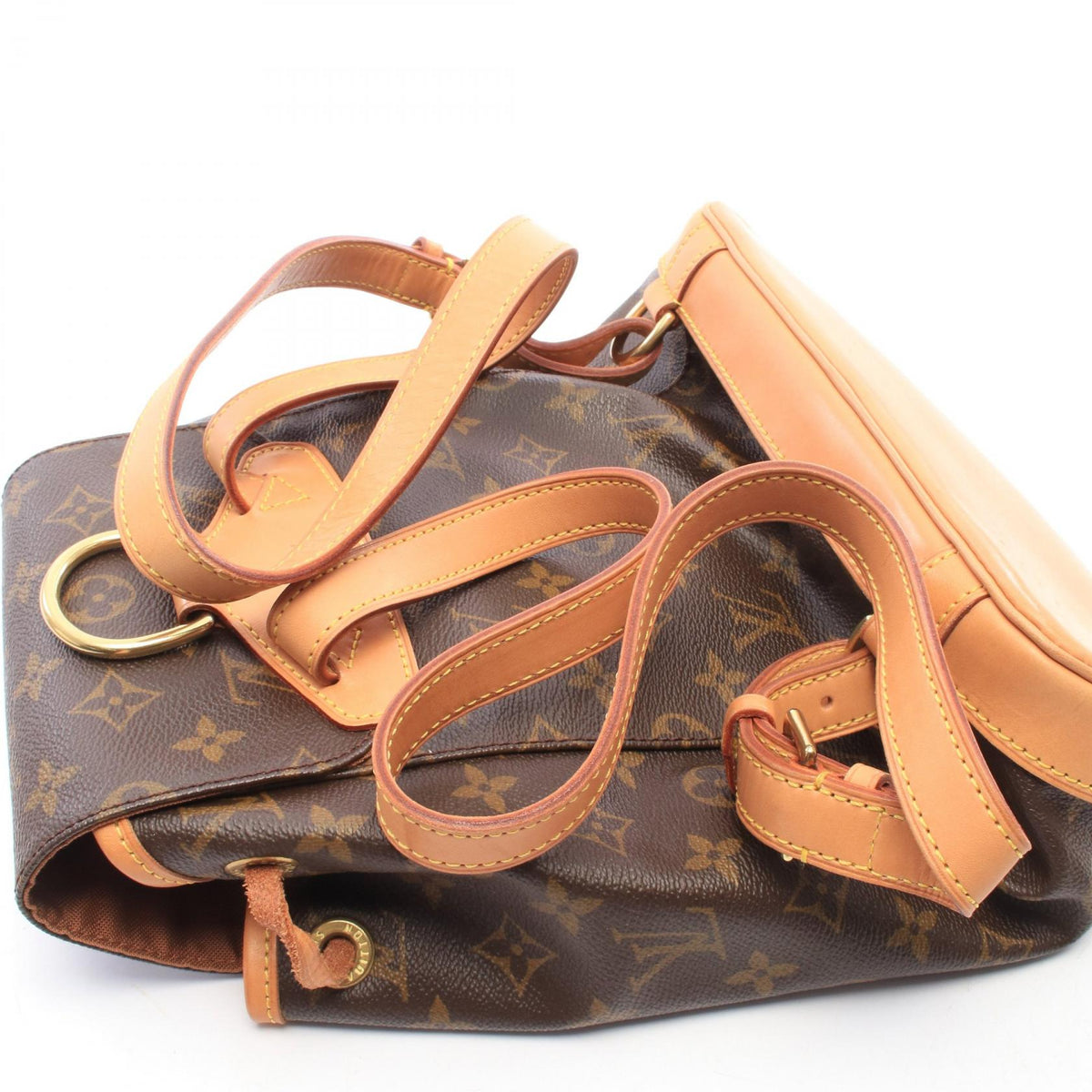 Louis Vuitton Montsouris MM · Monogram