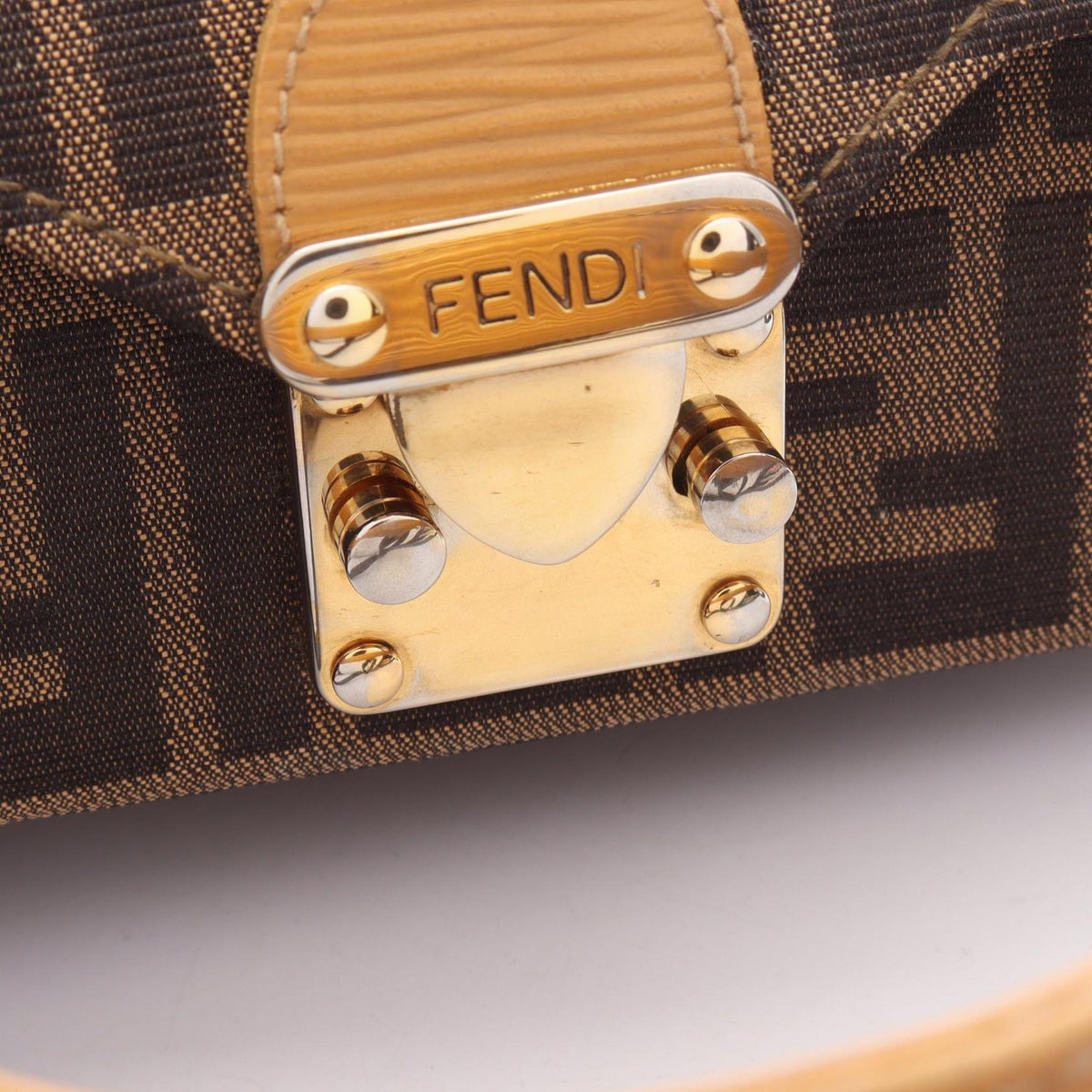 Fendi Zucca · Canvas Handbag