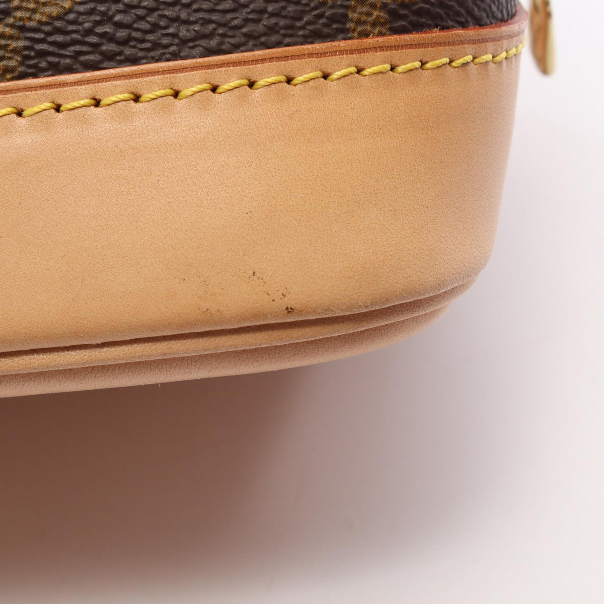 Louis Vuitton Alma PM · Monogram Canvas