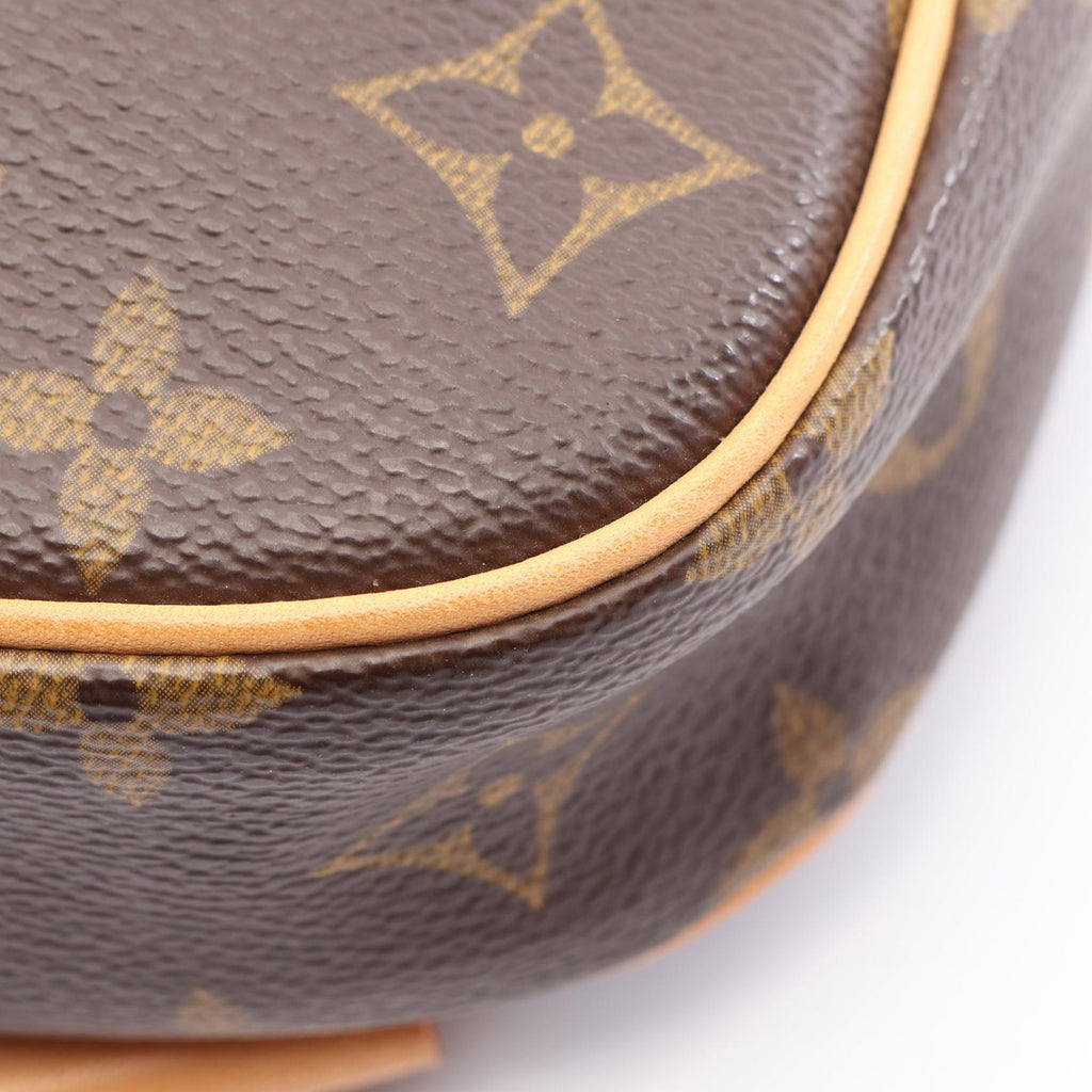 Louis Vuitton Pochette Gange · Monogram
