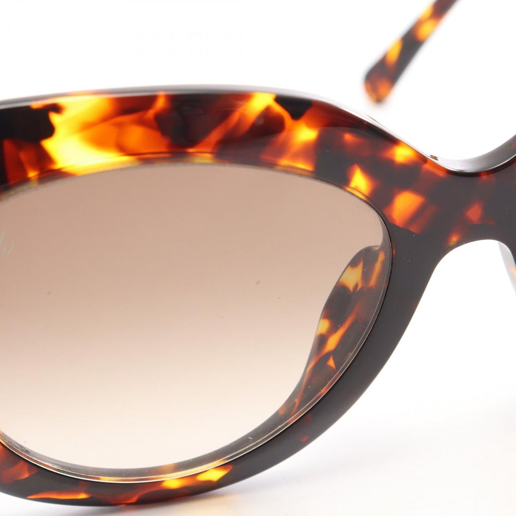 Louis Vuitton Paris Texas · Tortoiseshell