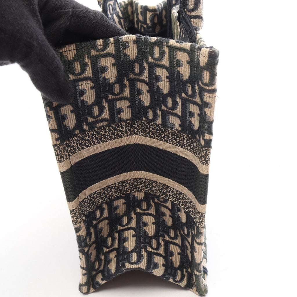 Dior Book Tote Small · Oblique Canvas