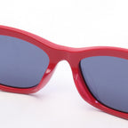 Dior 30 Montaigne Sunglasses