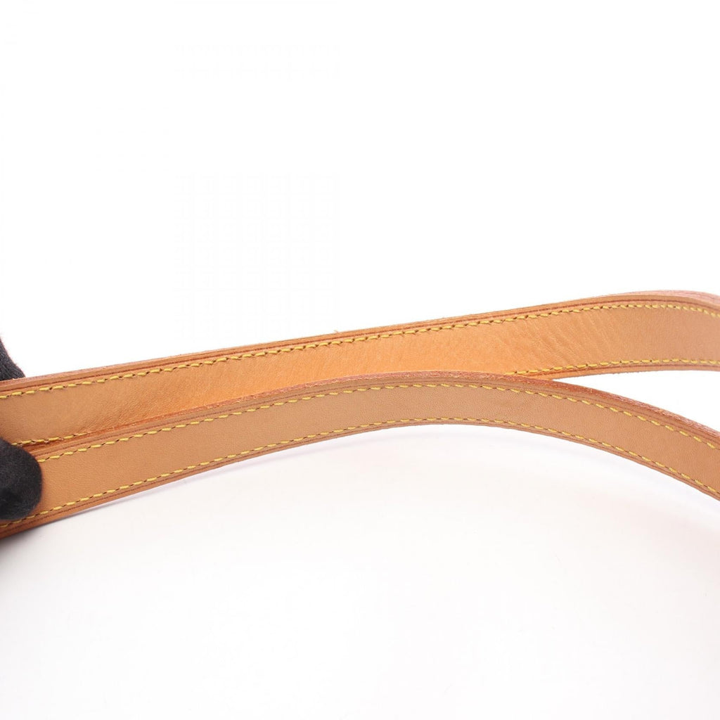 Louis Vuitton Cite GM · Monogram