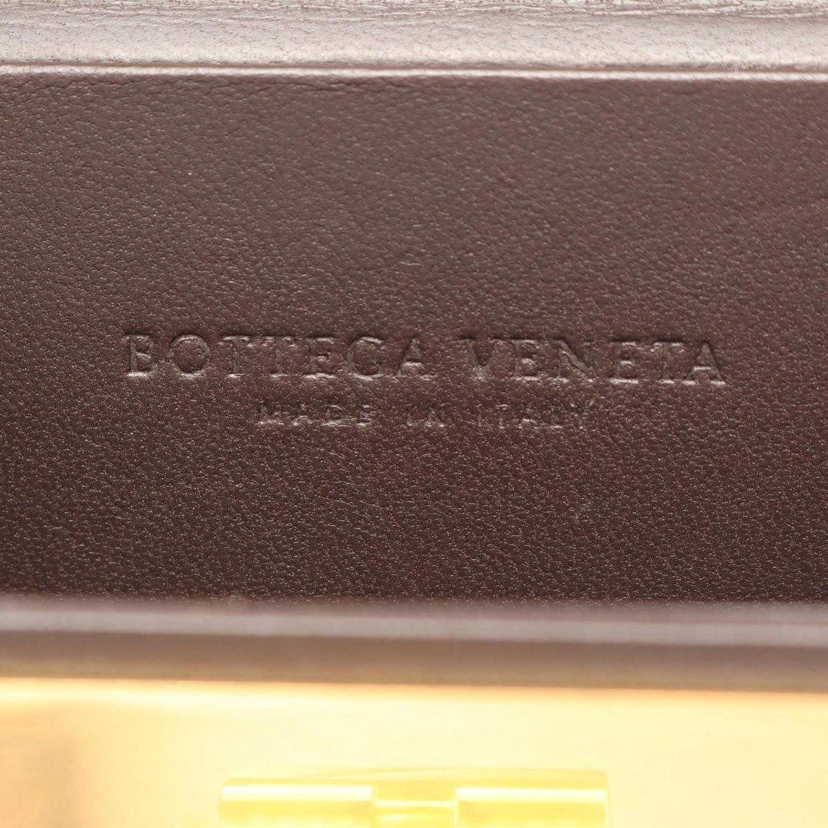 Bottega Veneta Daisy · Leather Shoulder Bag