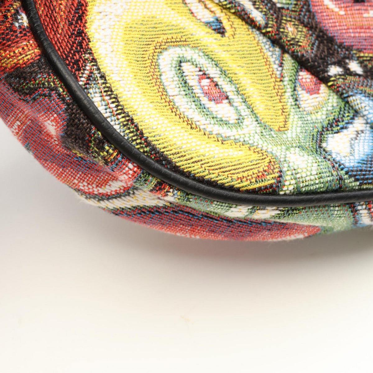 Dior Saddle · Kenny Scharf · Canvas