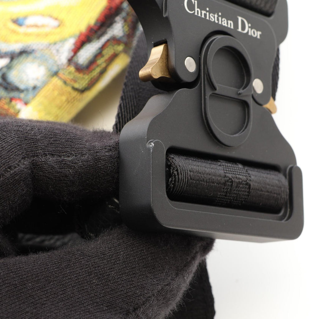 Dior Saddle · Kenny Scharf · Canvas