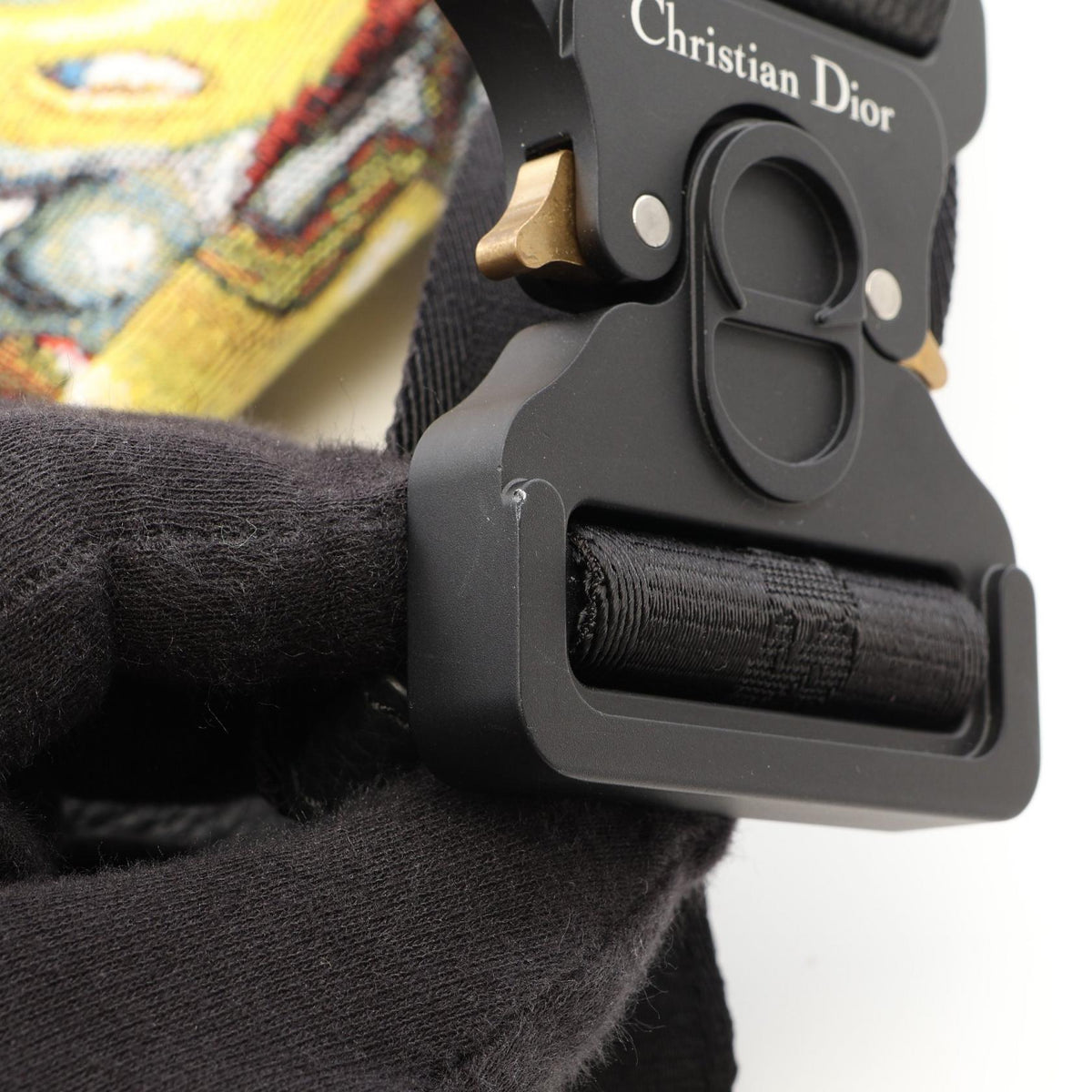 Dior Saddle · Kenny Scharf · Canvas