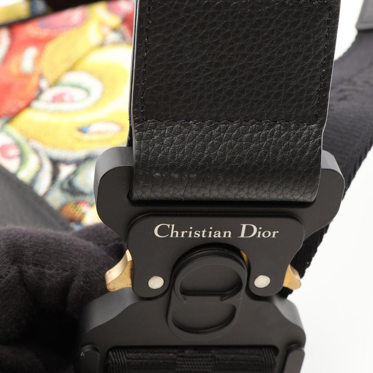 Dior Saddle · Kenny Scharf · Canvas