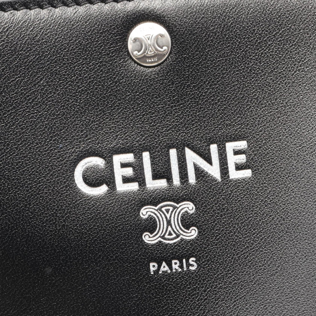 CELINE Sharp Pouch Take Away · Leather