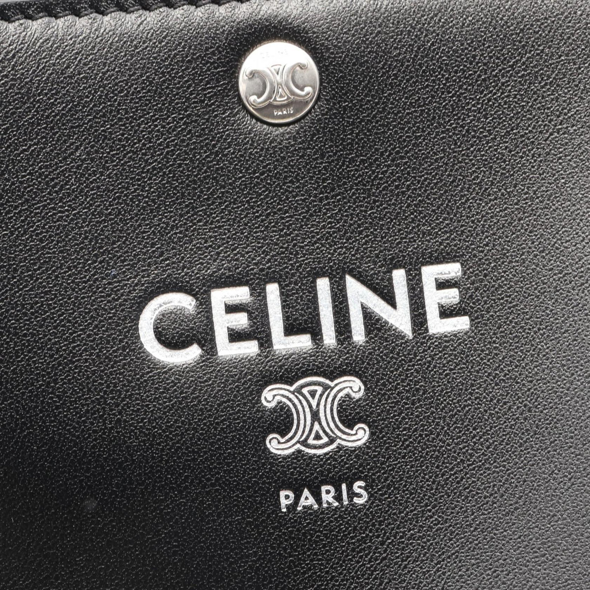 CELINE Sharp Pouch Take Away · Leather