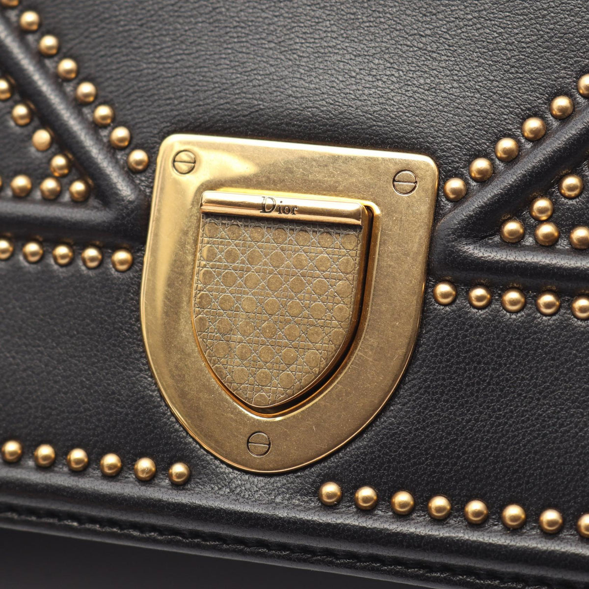 Dior Diorama · Leather