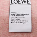 LOEWE Anagram Scarf · Cashmere