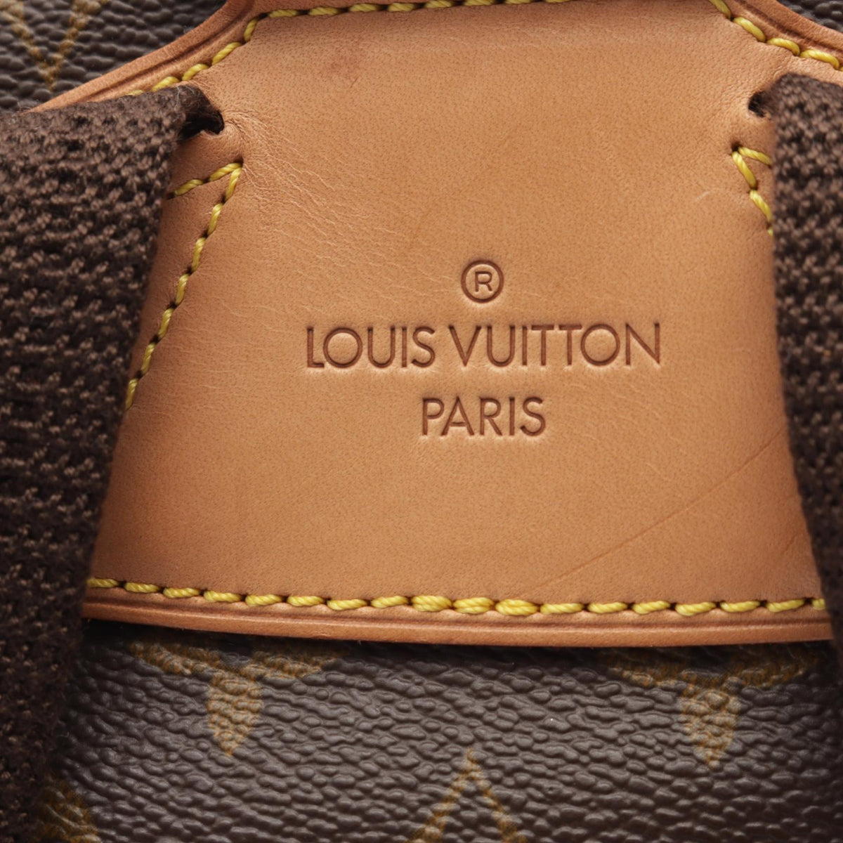 Louis Vuitton Montsouris GM · Monogram