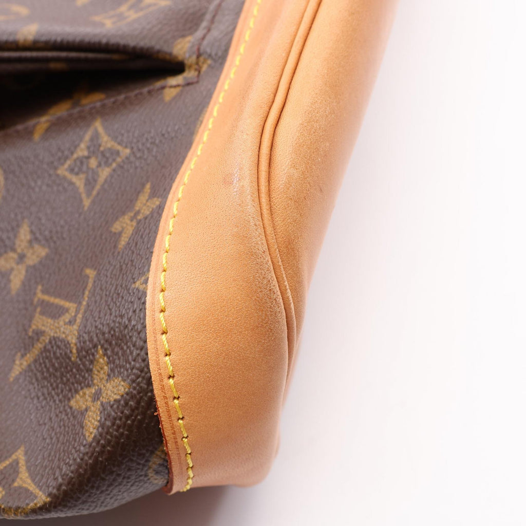 Louis Vuitton Montsouris GM · Monogram