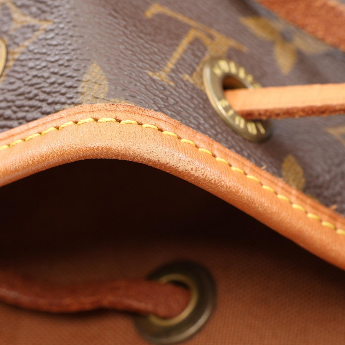 Louis Vuitton Montsouris MM · Monogram