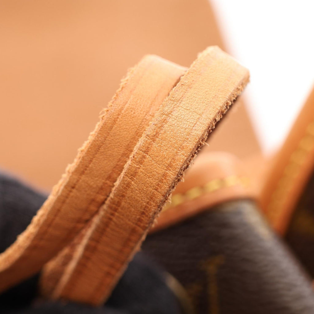 Louis Vuitton Montsouris MM · Monogram