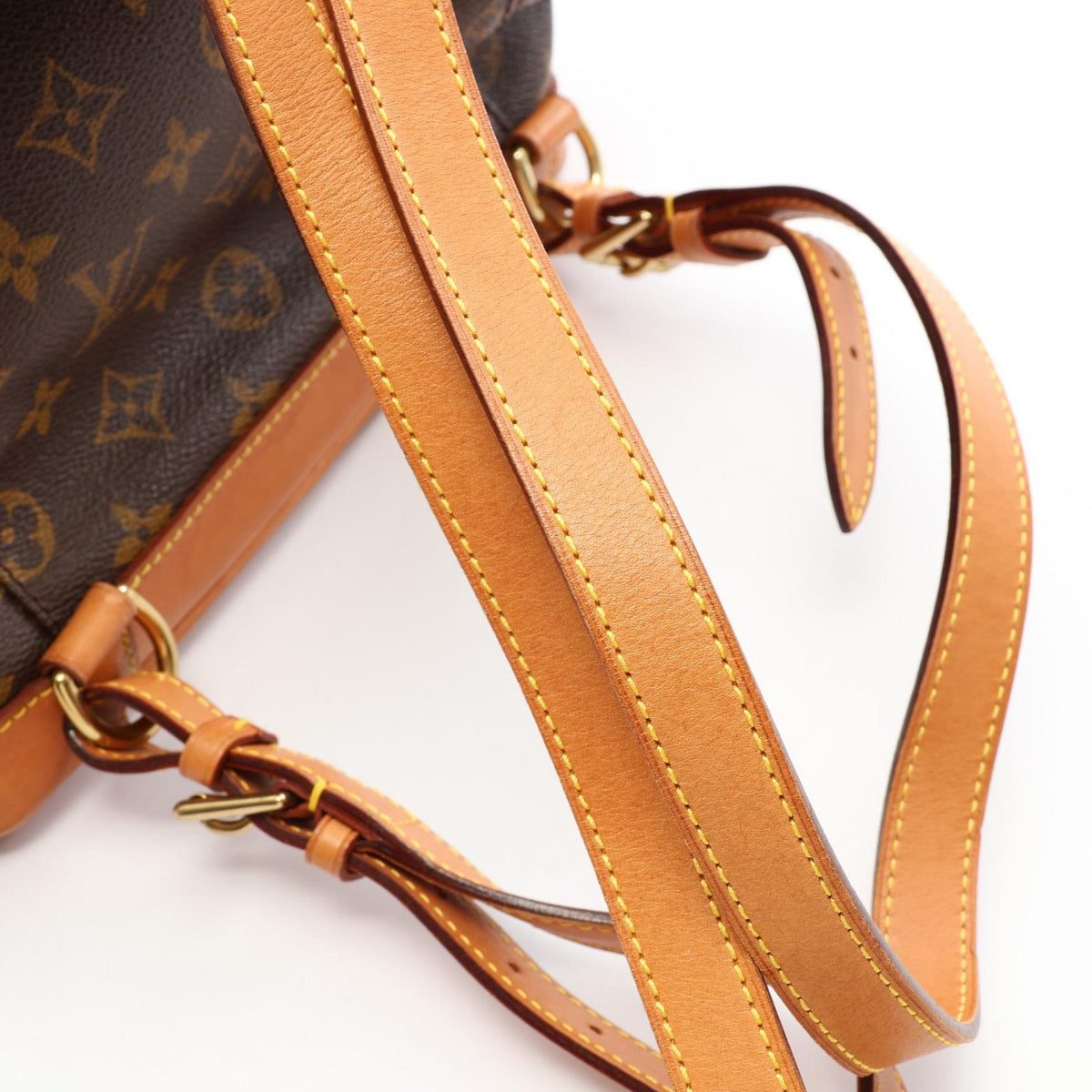 Louis Vuitton Montsouris MM · Monogram