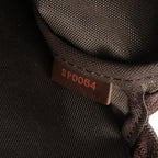 Louis Vuitton Pegase 45 · Damier Ebene