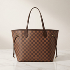 Louis Vuitton Neverfull MM · Damier Ebene
