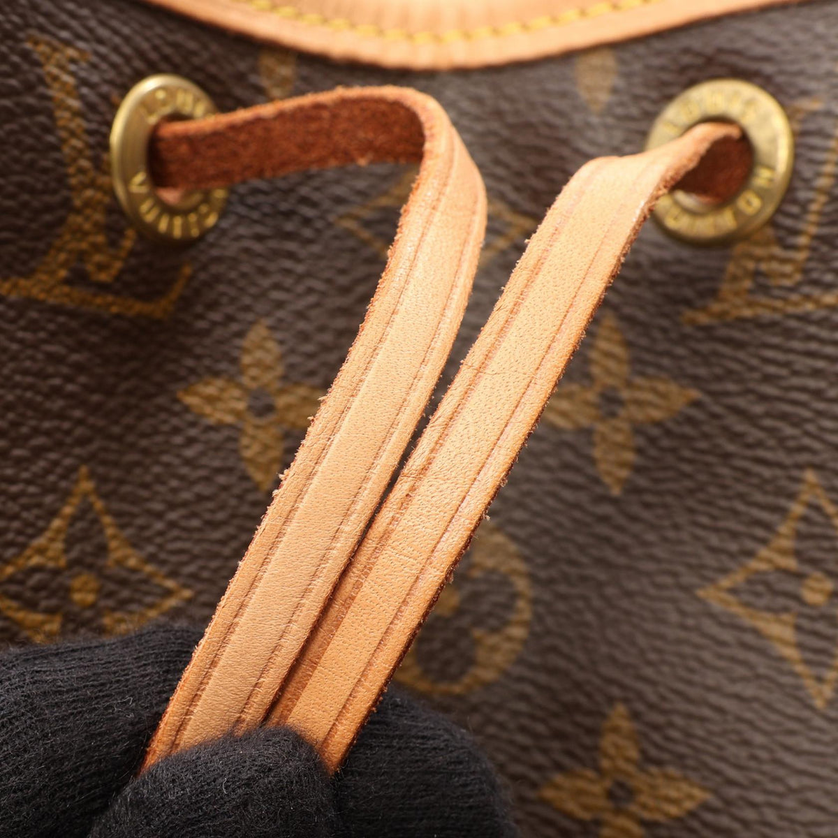 Louis Vuitton Montsouris MM · Monogram Canvas