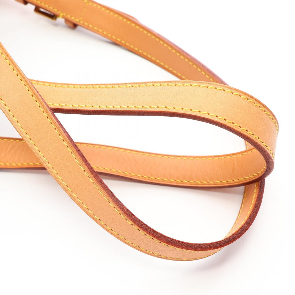 Louis Vuitton Montsouris MM · Monogram Canvas