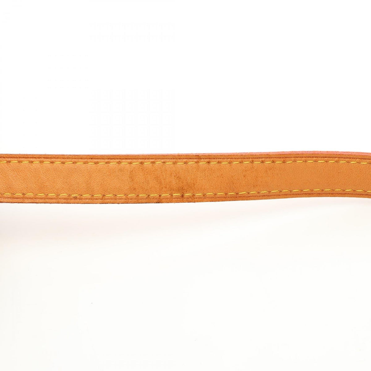 Louis Vuitton Vivacite PM · Monogram Canvas