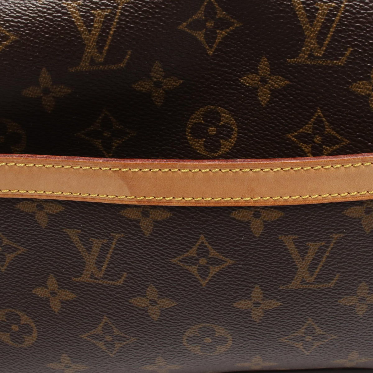 Louis Vuitton Reporter PM · Monogram