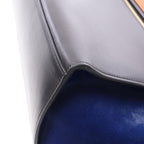 CELINE Trapeze Medium · Tricolor Leather