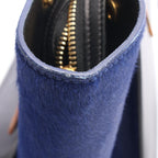 CELINE Trapeze Medium · Tricolor Leather
