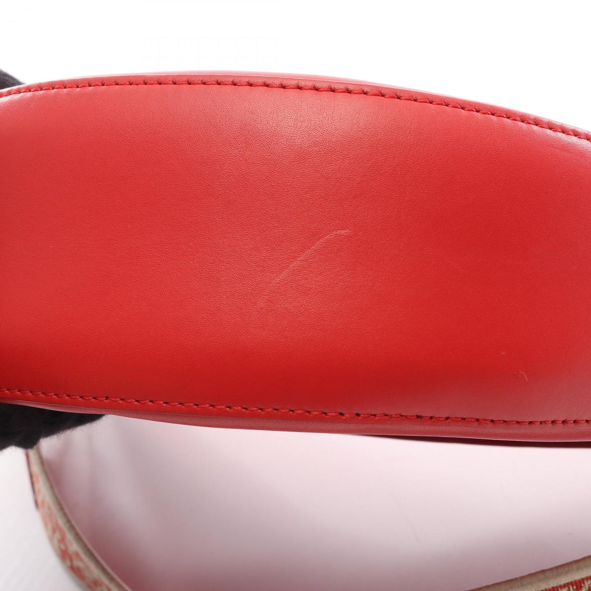 Loewe Luna · Leather Canvas