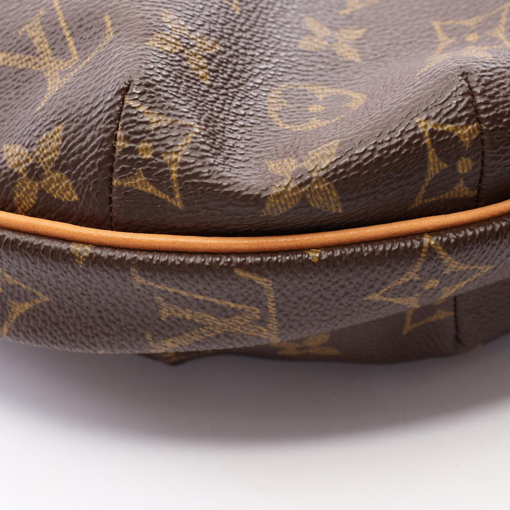 Louis Vuitton Croissant MM · Monogram