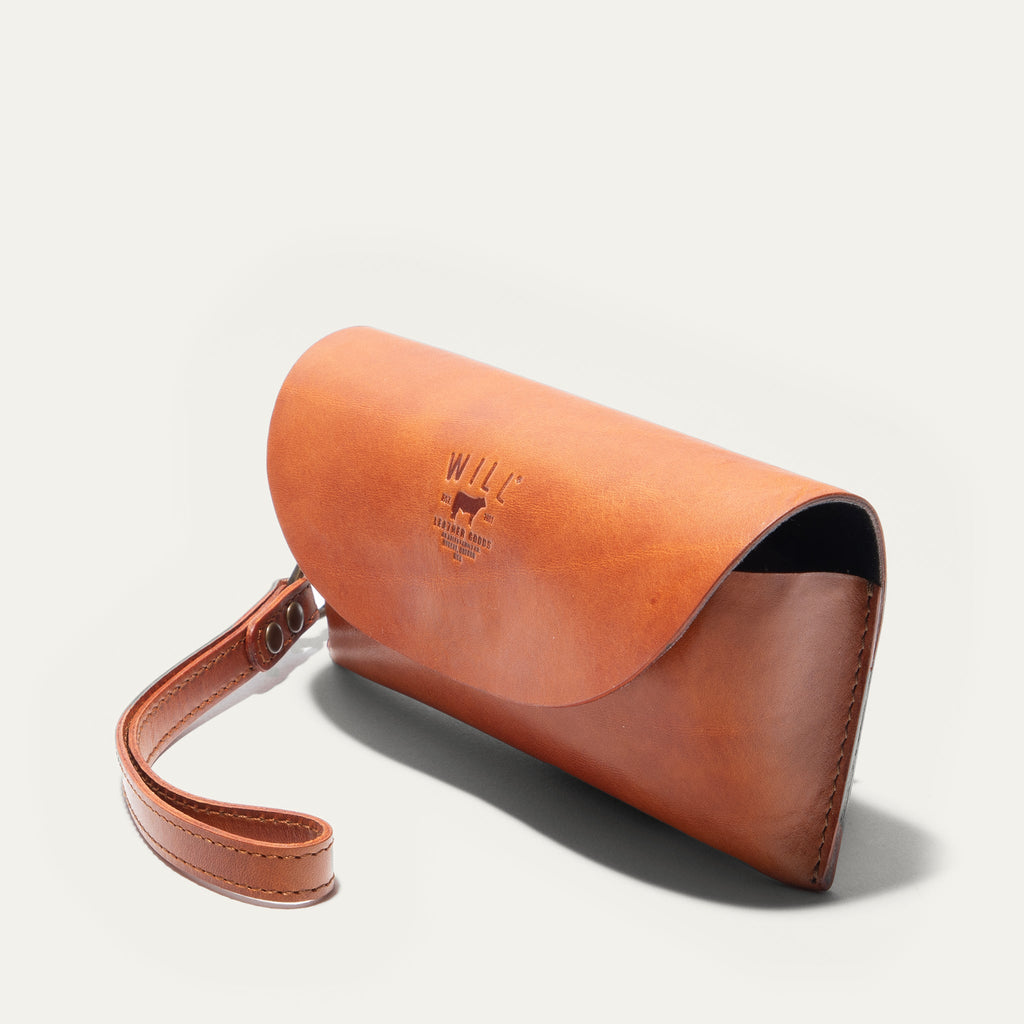 The Eyeglass Case
