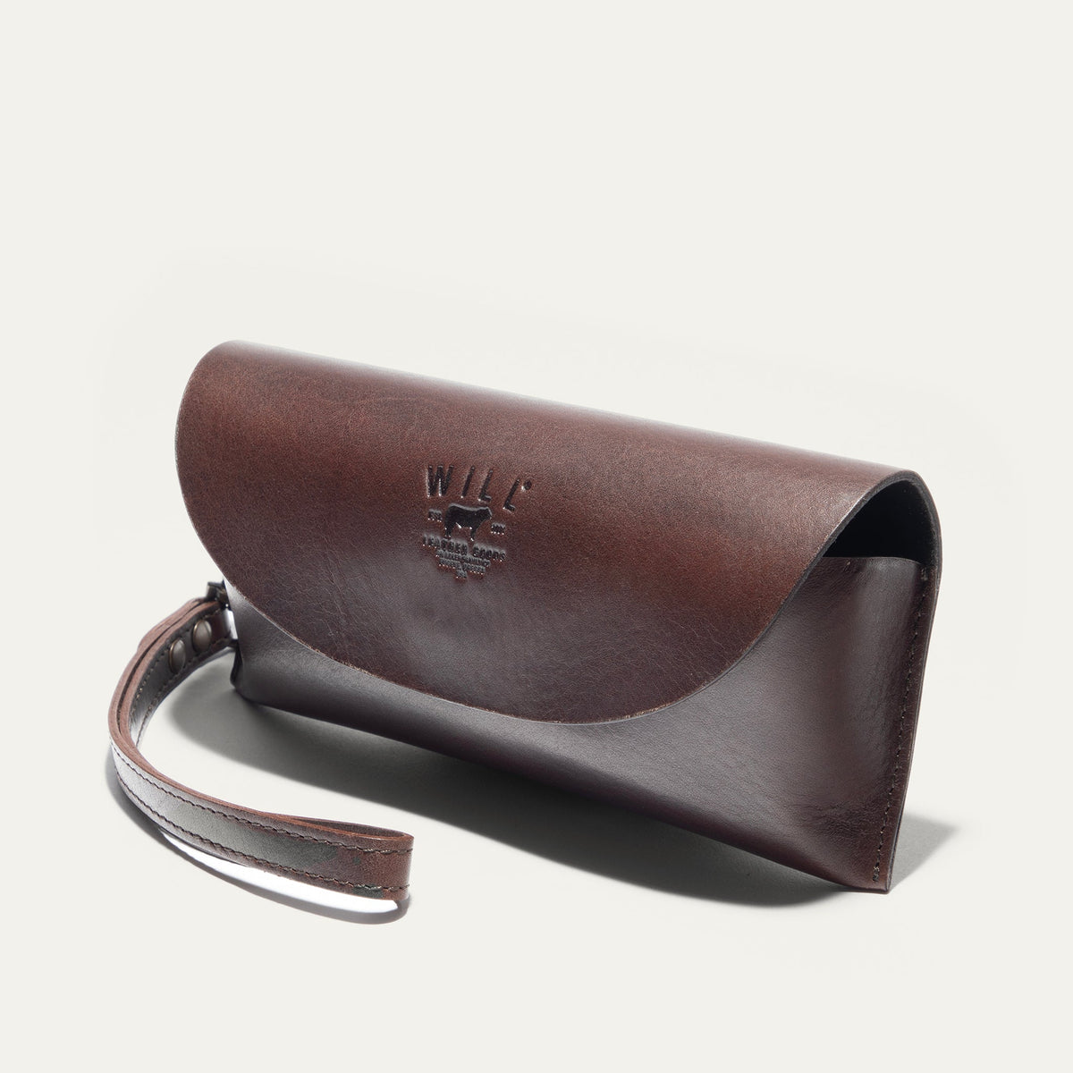 The Eyeglass Case
