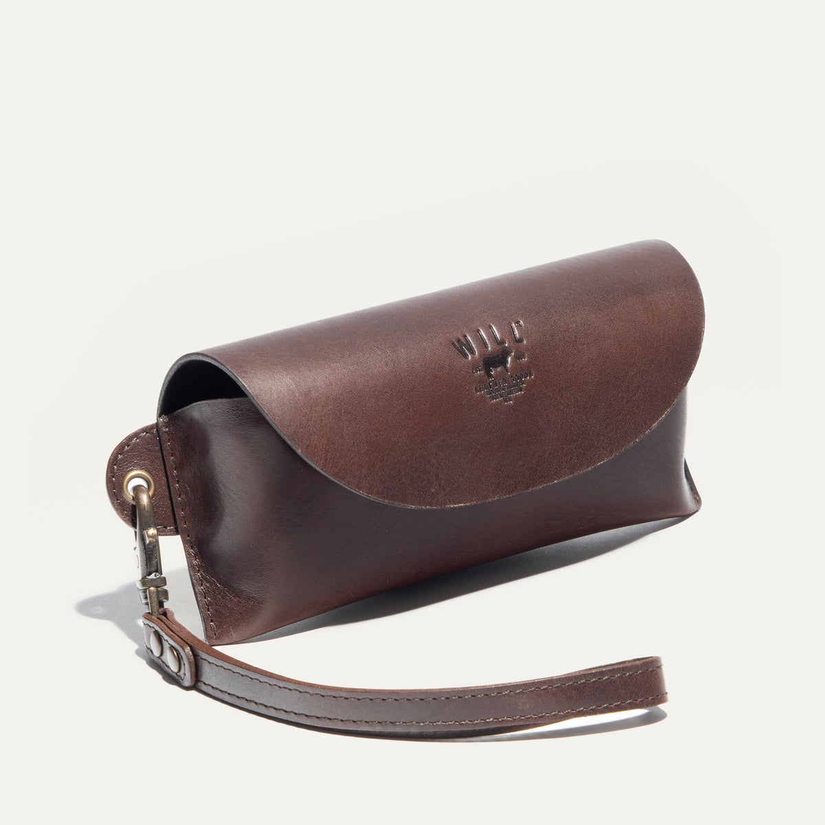 The Eyeglass Case