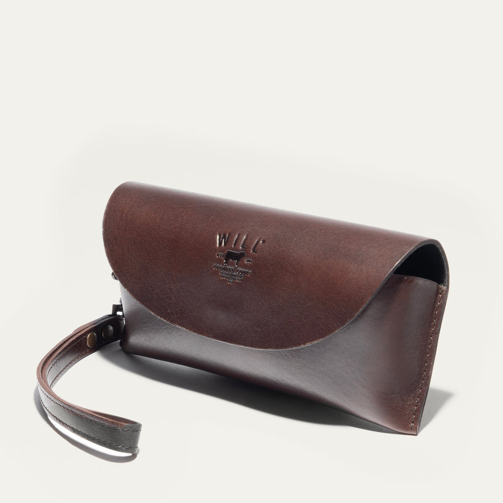 The Eyeglass Case