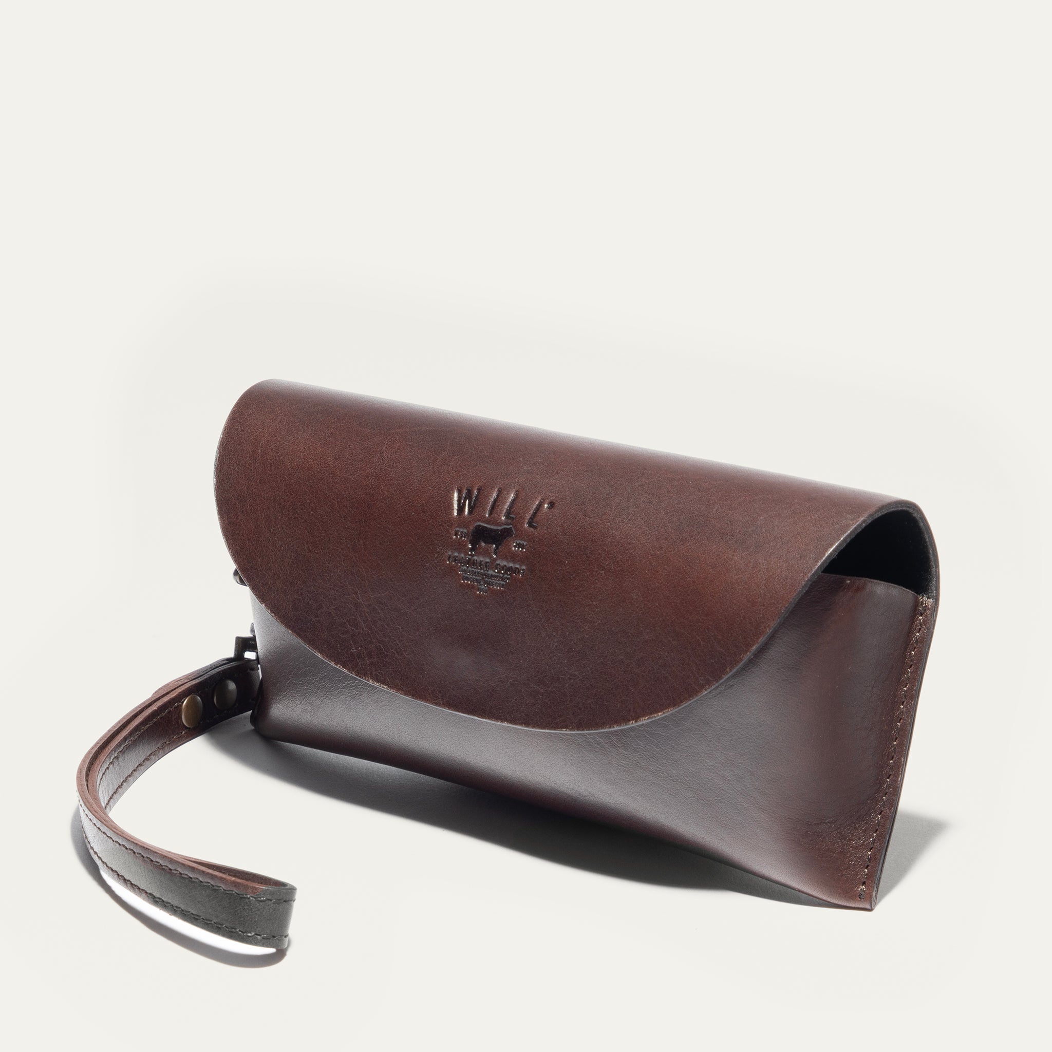 The Eyeglass Case