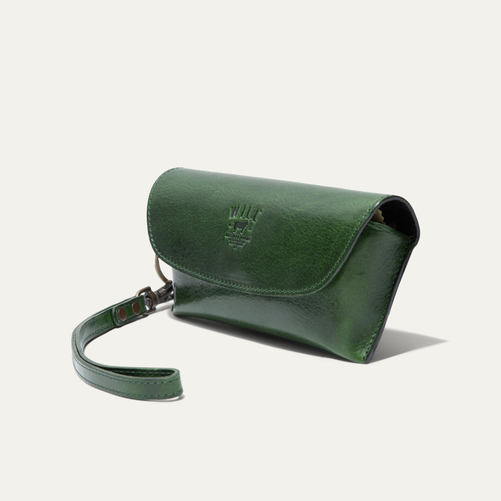 The Eyeglass Case
