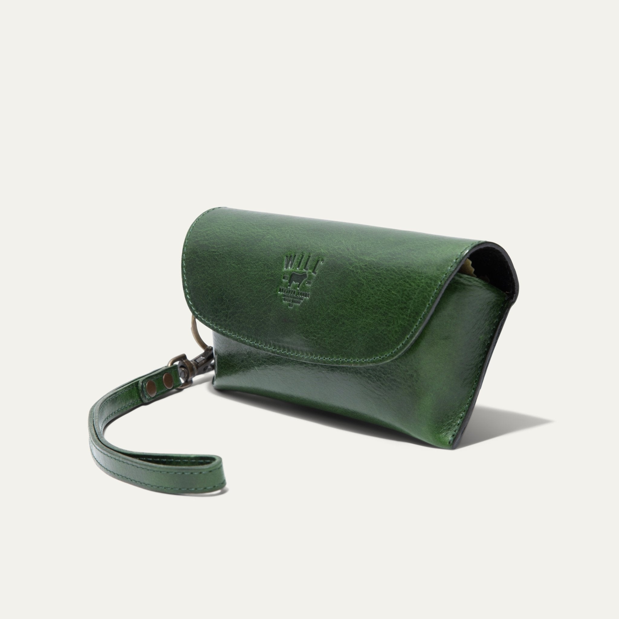 The Eyeglass Case